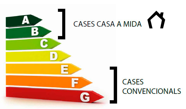 grafic1 grafic1